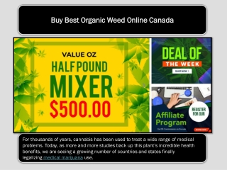 Buy Best Organic Weed Online Canada