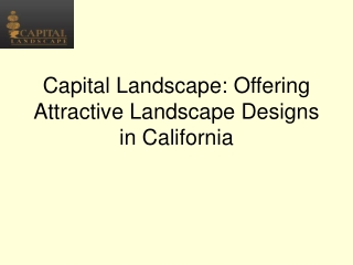 Capital Landscape_ Offering Attractive Landscape Designs in California