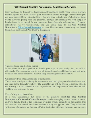 Why Should You Hire Professional Pest Control Service