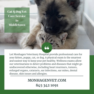 Cat & Dog Vet Care Service in Middletown