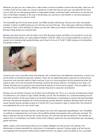 Bombay Cat Breed Full Guide