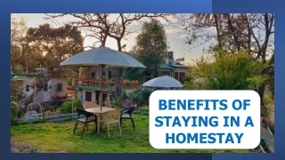 Benefits of staying in a homestay