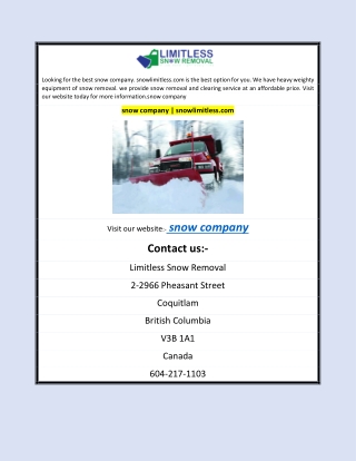 snow company | snowlimitless.com