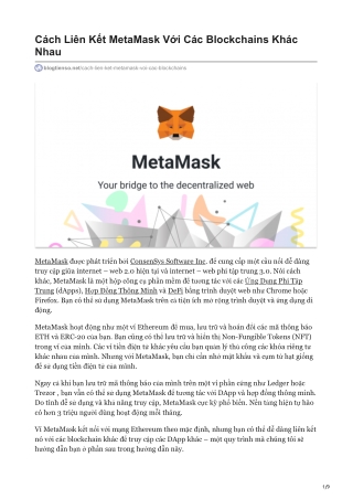 Cách Liên Kết MetaMask Với Các Blockchains Khác Nhau