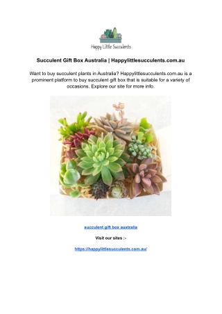 Succulent Gift Box Australia _ Happylittlesucculents