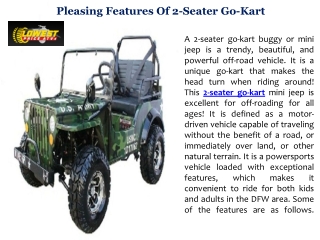 Pleasing Features Of 2-Seater Go-Kart