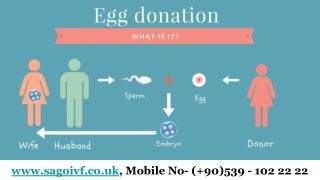 Best Egg Donor Clinic In Europe | Sago IVF