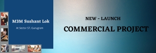 M3M New Commercial Project Sushant Lok At Sector 57, Gurugram - PDF