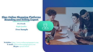 Ebay Online Shopping Platforms Branding and Selling Expert