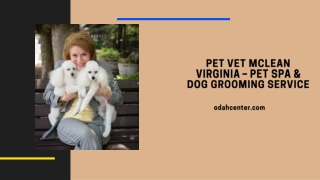Pet Vet McLean Virginia – Pet Spa & Dog Grooming Service