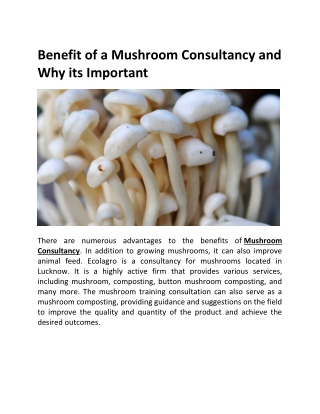 Benefit of a Mushroom Consultancy