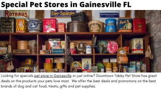 Special Pet Stores in Gainesville FL at Downtown Tabby Pet Store