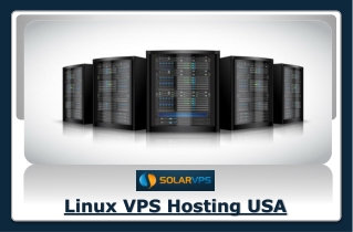 Linux VPS Hosting USA