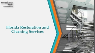Mold Remediation Services Sarasota | ServiceMaster Restoration