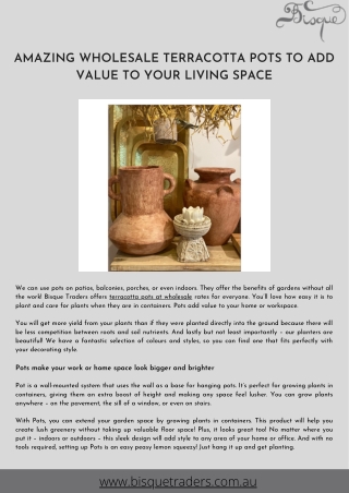 Amazing Wholesale Terracotta Pots To Add value to Your Living Space