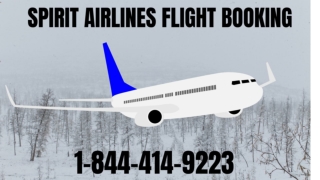 Spirit Airlines Flight Booking |1-844-414-9223| Flight Reservations