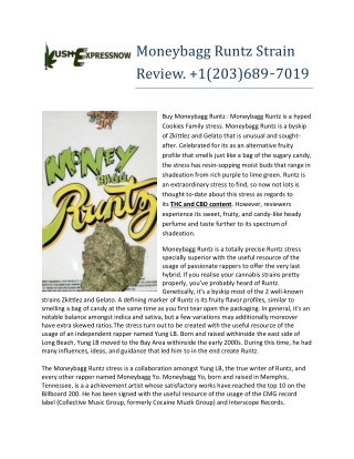 Moneybagg Runtz Strain Review