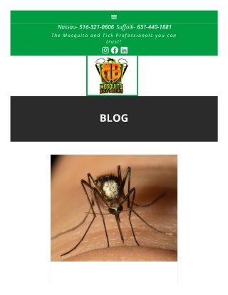 Best Mosquito Service Near Me