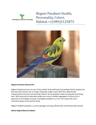 Regent Parakeet Health, Personality, Colors, Habitat. 1(989)3125875