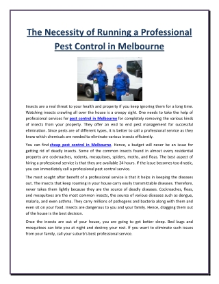 The Necessity of Running a Professional Pest Control in Melbourne