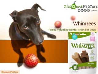 Whimzees Puppy Valuebag Dental Treat For Xsmall/Small 30's