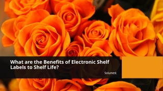 Benefits of Electronic Shelf Labels to Shelf Life