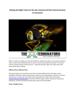 Getting the Right Team for the Job Commercial Pest Control Services in Vancouver