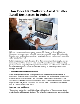 How Does ERP Software Assist Smaller Retail Businesses in Dubai