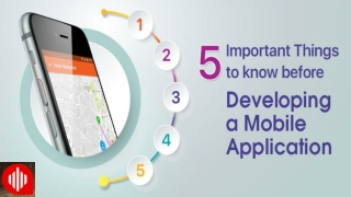 5 Important Things to Know Before Developing a Mobile Application