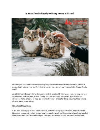 Is Your Family Ready to Bring Home a Kitten
