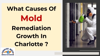 What Causes Of Mold Remediation Growth In Charlotte ?