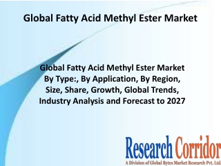 global-fatty-acid-methyl-ester-fame-market