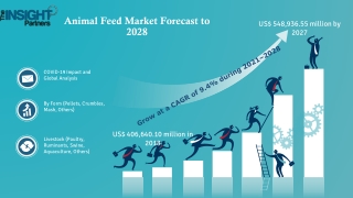 Animal Feed Market to Grow at a CAGR of 3.3% to 2028