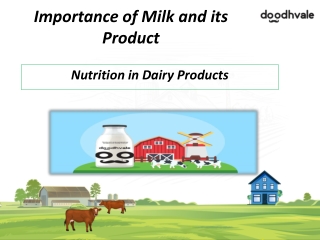 Buy Fresh Milk and Dairy Products at Best Price