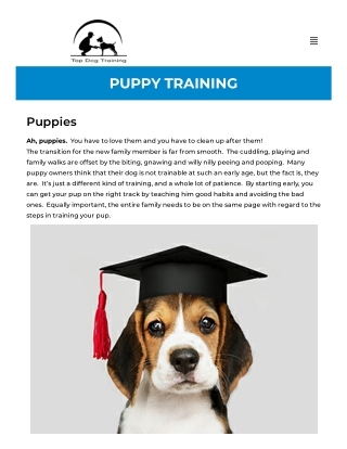 Puppy Obedience Training Near Me - Topdogtrainingny.Com