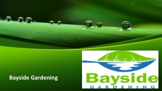 Bayside Gardening - Garden Maintenance Services