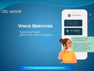 Voice Solutions in India