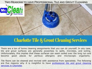 Two Reasons to have Professional Tile and Grout Cleaning Services in Charlotte