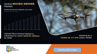 Micro Drone Market Worth $28,910.5 million by 2030