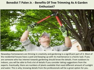 Benedict T Palen Jr. - Benefits Of Tree Trimming As A Garden Enthusiast?