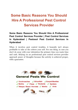 Some Basic Reasons You Should Hire A Professional Pest Control Services Provider