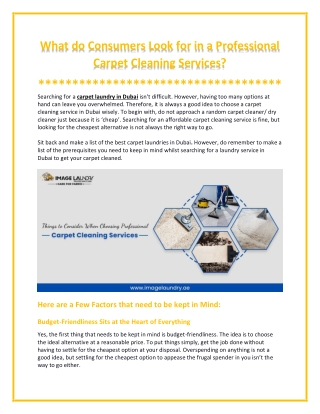 Know About Professional Carpet Cleaning Services