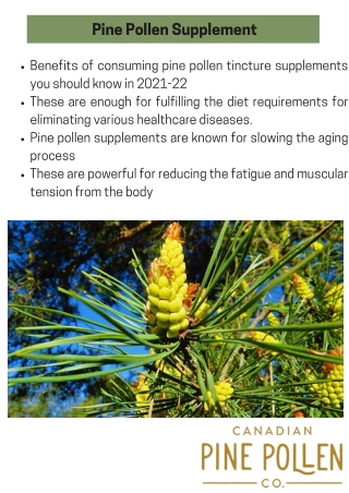 All you need to know about Pine Pollen Health Dietary Supplements