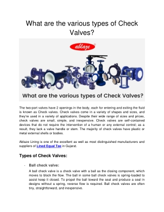 What are the various types of Check Valves ?