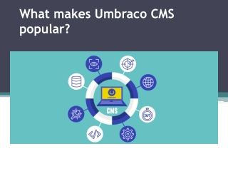 What makes Umbraco CMS popular1
