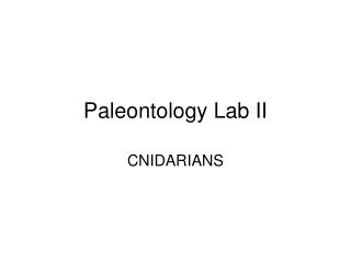 Paleontology Lab II