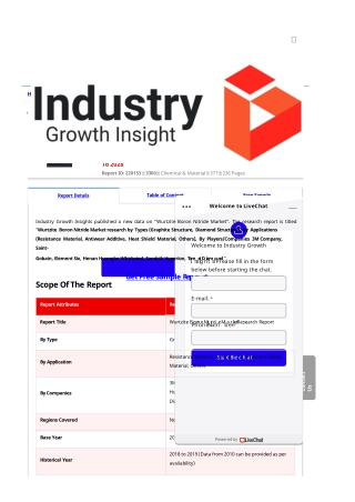 Wurtzite Boron Nitride Market Report | Global Forecast To 2028