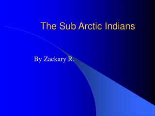 The Sub Arctic Indians