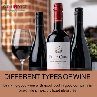 Different Types of Wine