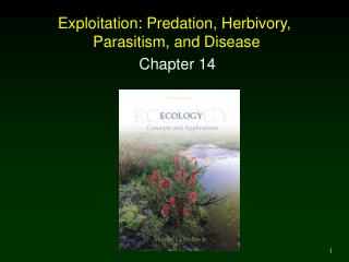 Exploitation: Predation, Herbivory, Parasitism, and Disease